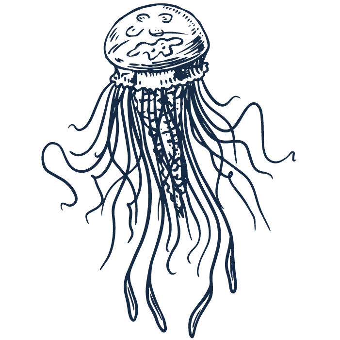 icon-meduse.png